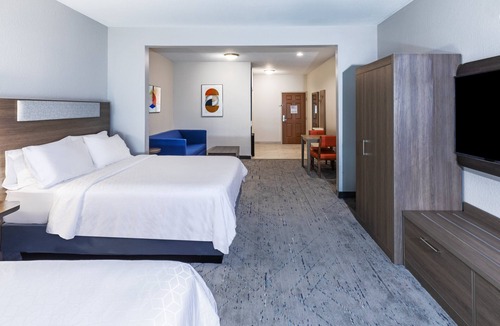 Webster Hotel | Holiday Inn Express Hotel & Suites - Houston Space Center by IHG