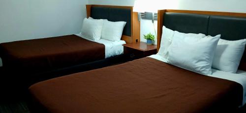 Marshfield Hotel | Neva Jean Motel