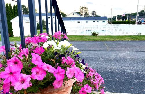 Ogunquit Hotel | Ocean Acres Ogunquit