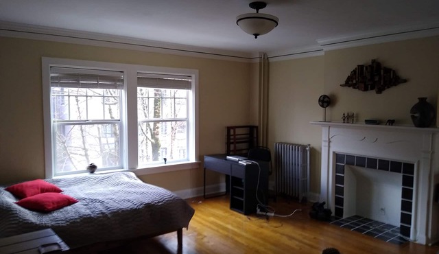 Beautiful fully furnished large corner studio downtown