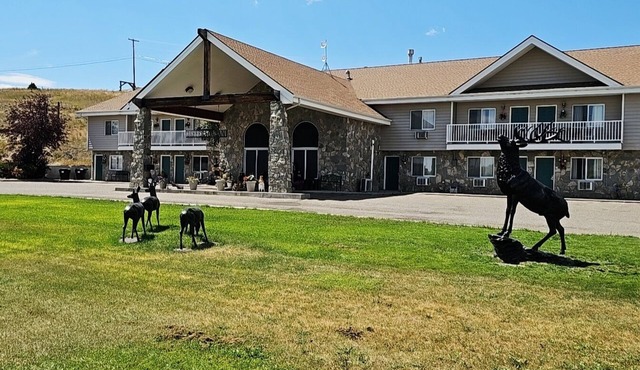 Beautiful spacious, pet friendly, 2 beds, 1 bath