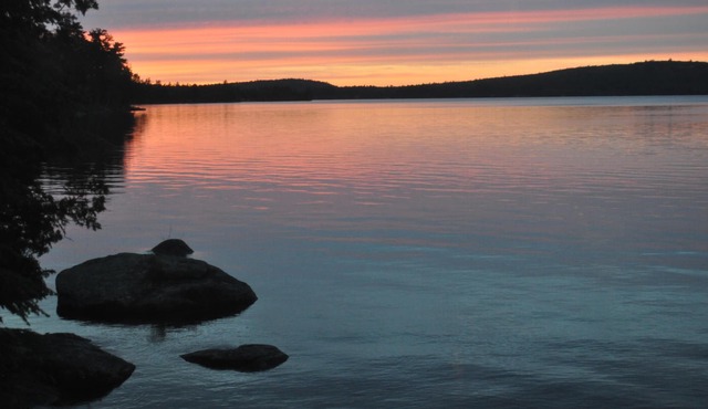 Come experience Molasses Pond!