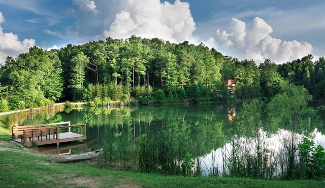 Lake Cabin in beautiful wooded setting overlooking crystal clear lake.