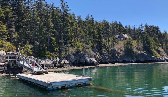 Osprey Nest on Tip Toe Mountain