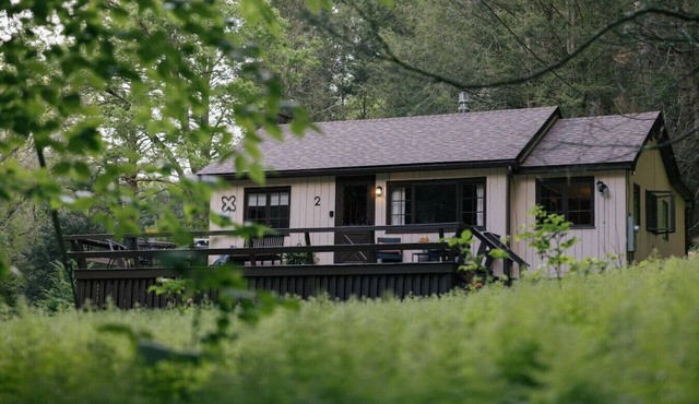 Peaceful Cabin with Sauna, Hot Tub & Cold Plunge