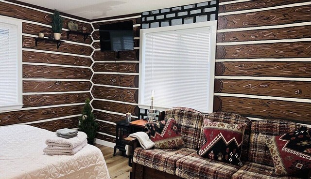 Scout- a rustic “cabin” apartment, very fast wifi
