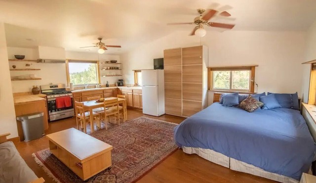 Spacious artist's studio loft apartment with view