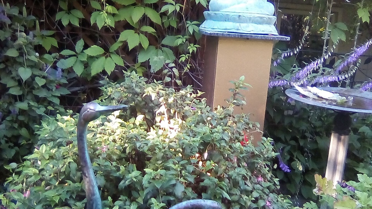 Photo of Outdoor in Spenard