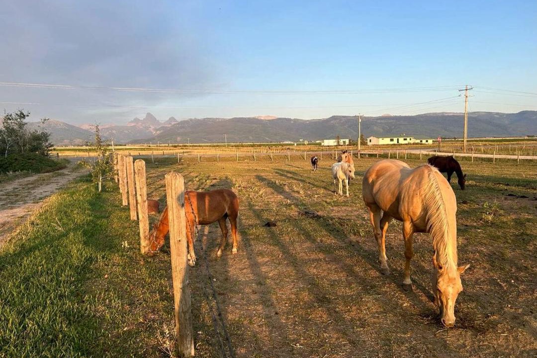 Photo of Others in Tetonia